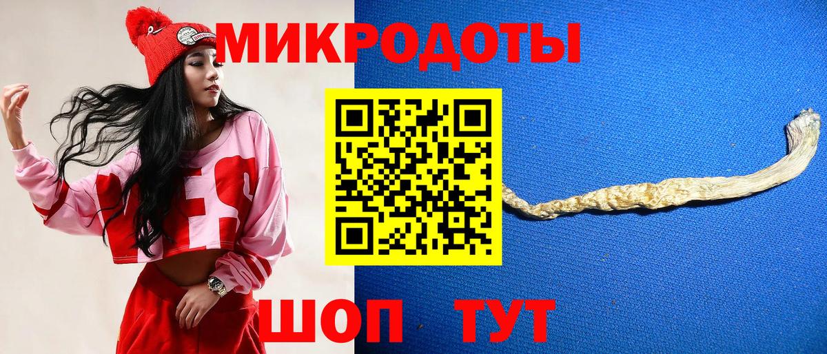 Галлюциногенные грибы Psilocybe Урюпинск
